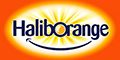 Haliborangelogo