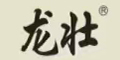 龙壮品牌logo