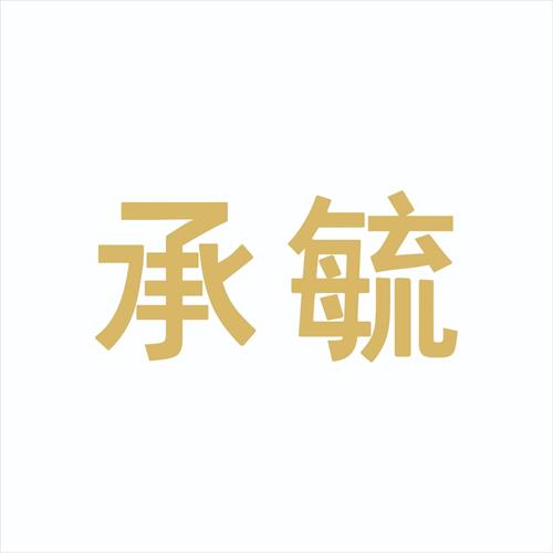 ���ϳ�عҽ����е���޹�˾