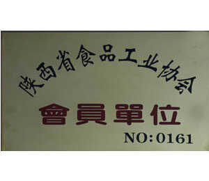 公司荣誉