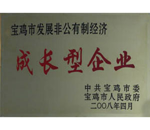 公司荣誉