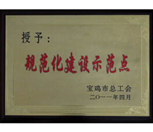 公司荣誉