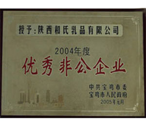 公司荣誉