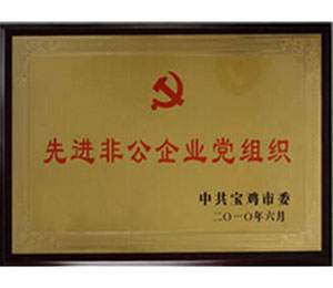 公司荣誉