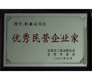 公司荣誉