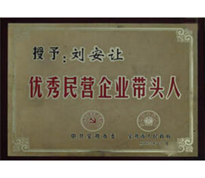 公司荣誉
