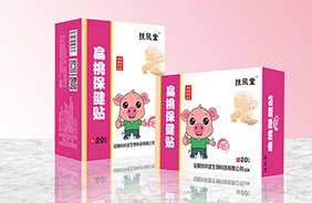 扶风堂经穴保健贴