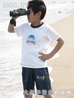 ���������ɫ��װ