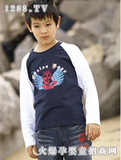 ������������ɫ����