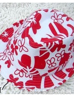 ��ͯ��ñ��ɫͼ��