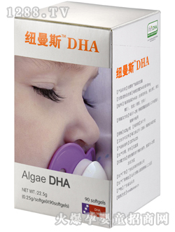 Ŧ˹DHA׶