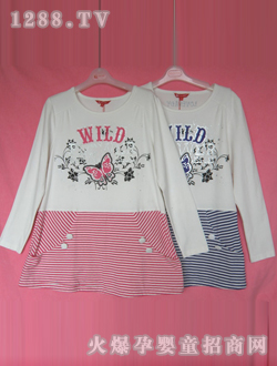 ����׼�������������