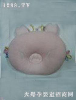 ��ɹ�����