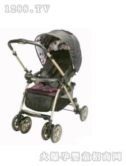 �ױ����������Ƴ�