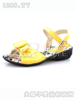 ZK��ɫʱ����Ь