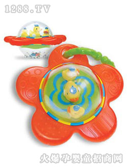 亲亲我带环浮水鸭太阳花