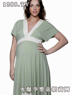 �����ݵ�KALLY ����ʽ��װ