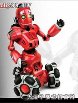 �ǿ�ң�ػ�����