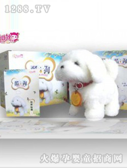 �ǿ������ṷ ������