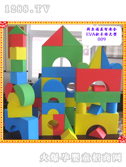 ˹EVAľ009