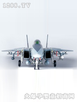 ��������èս����F14A