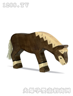 ¹holztigerľ