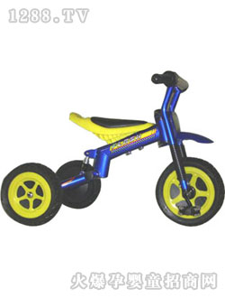 �������ֳ�KT036