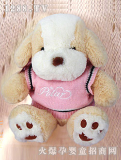 ��ʿ��ë�����POLAR��