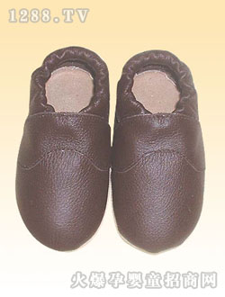 ӤЬZ-DS-1