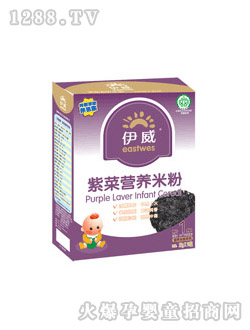 伊威紫菜营养米粉一段4-24个月