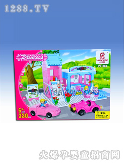 ������ľ��߹���������339PCS