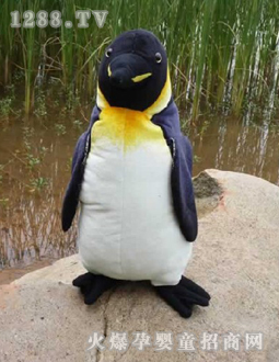����԰ë��������