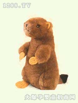 ���η����������