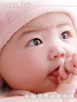 安琪尔吃手宝宝