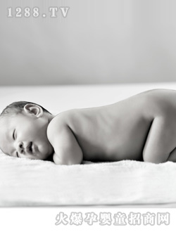 安琪尔趴着的宝宝