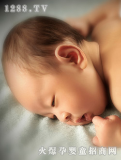 安琪尔睡觉宝宝
