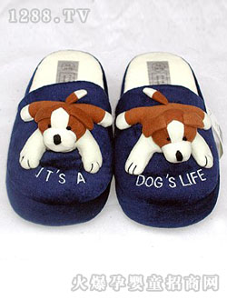 ����С����Ь