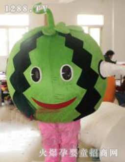 ӣͨװ