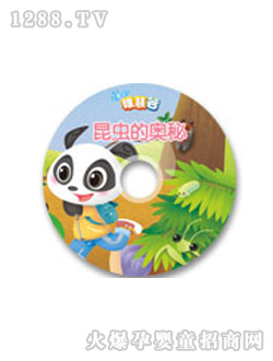 ɻ۹İDVD