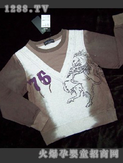 ����ӡ��װ