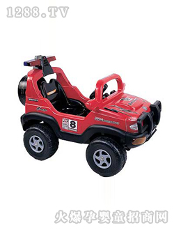 ����綯��DD0100890