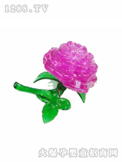 ����ƴװõ�廨