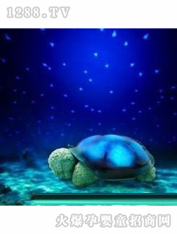 �����߲������ڹ��