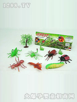 �ܳ��������棨��װ��