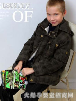 ���²��˺�ɫ����