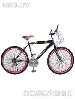 ����ͯ��ZX-XTC-004