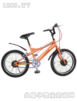 ����ͯ��ZX-XTC-010