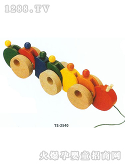 �����������TS2540