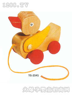 �����������TS2541