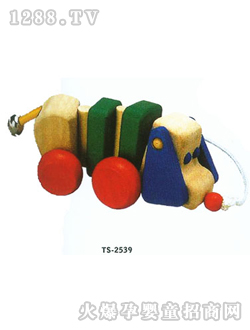 �����������TS2539